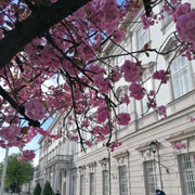 Salzburg: Classical Music Concert at the Mirabell