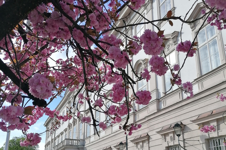 Salzburg Muziekklassiekers in MirabellJuli 2025