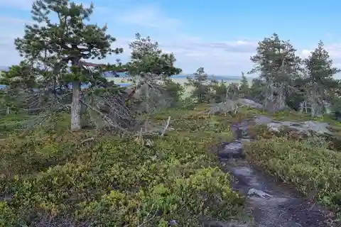 Finnische Lappland: Mitternachtswanderung im Riisitunturi-Nationalpark