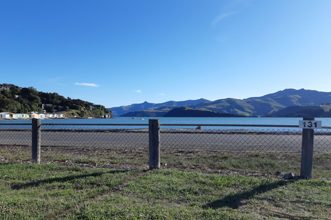 Christchurch: Excursión de un día a Akaroa y la península de Banks