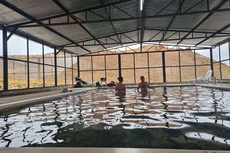 Excursion to San Antonio de los Cobres and the Tuzgle hot springs