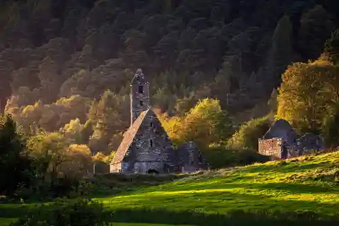 Dublín: Wicklow, Kilkenny, Glendalough y excursión con perros pastores