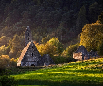 Dublin: Wicklow, Kilkenny, Glendalough & Sheepdog Tour