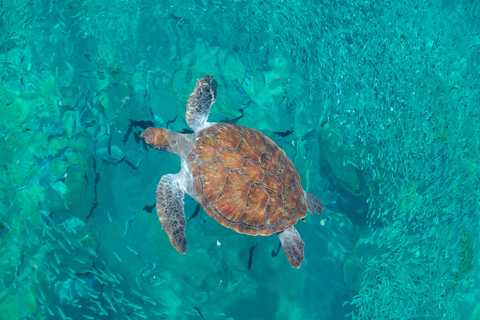 Bali: Blue Lagoon Snorkeling & Hidden Beach Escape Private – With Hotel Transfer
