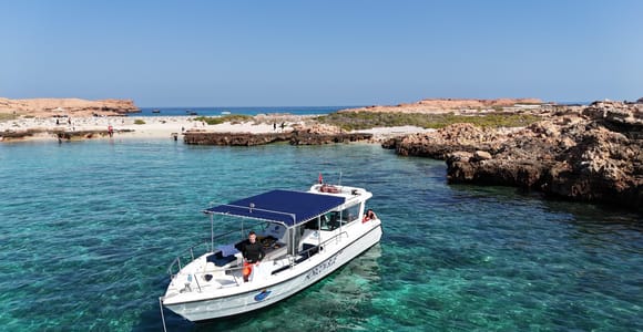 Muscat: Dolphin Watching and Snorkeling Boat Trip with Lunch