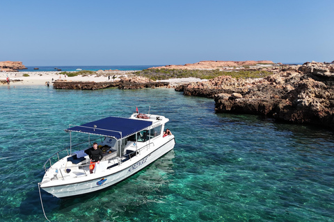 Muscat: Dolphin Watching and Snorkeling Boat Trip with Lunch The Best Ocean Wildlife & Island Exploration Adventure!