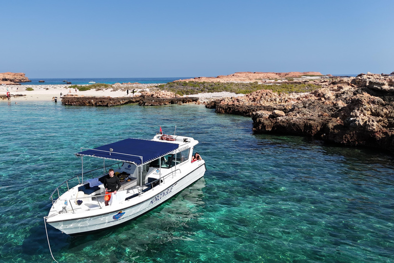 Muscat: Dolphin Watching and Snorkeling Boat Trip with Lunch Afternoon: Ocean Wildlife & Island Exploration Adventure