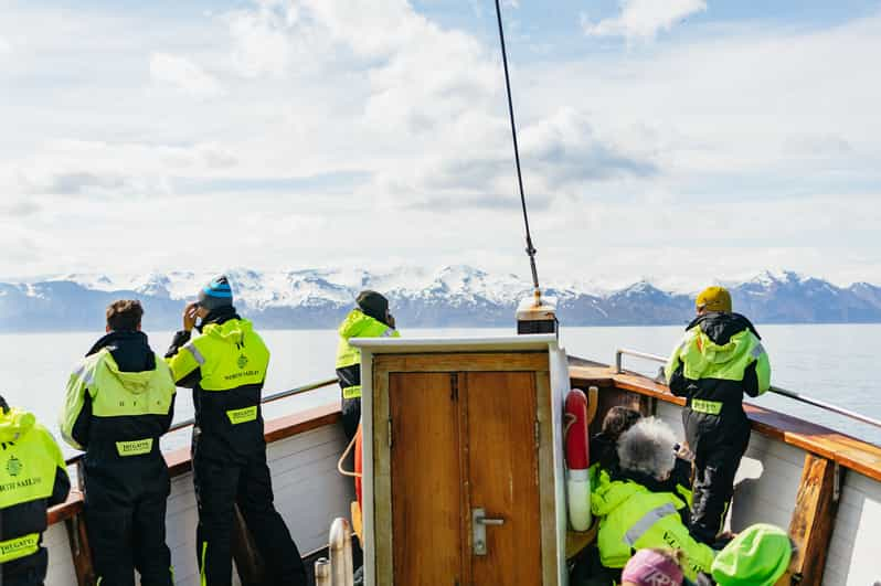 Húsavík: Whale Watching Tour with Guide | GetYourGuide