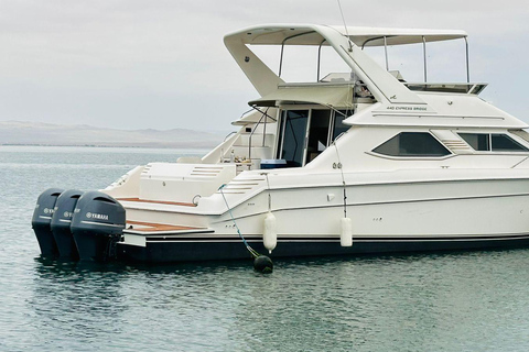 Paracas: Premium trip to the Ballestas Islands on an exclusive double-decker yacht.