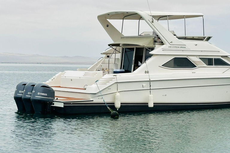Paracas: Premium trip to the Ballestas Islands on an exclusive double-decker yacht.