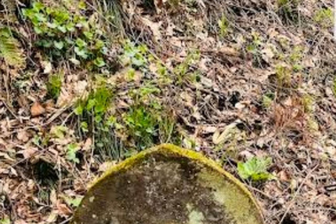 长野：隐秘神社徒步导览之旅（含小吃和饮品）