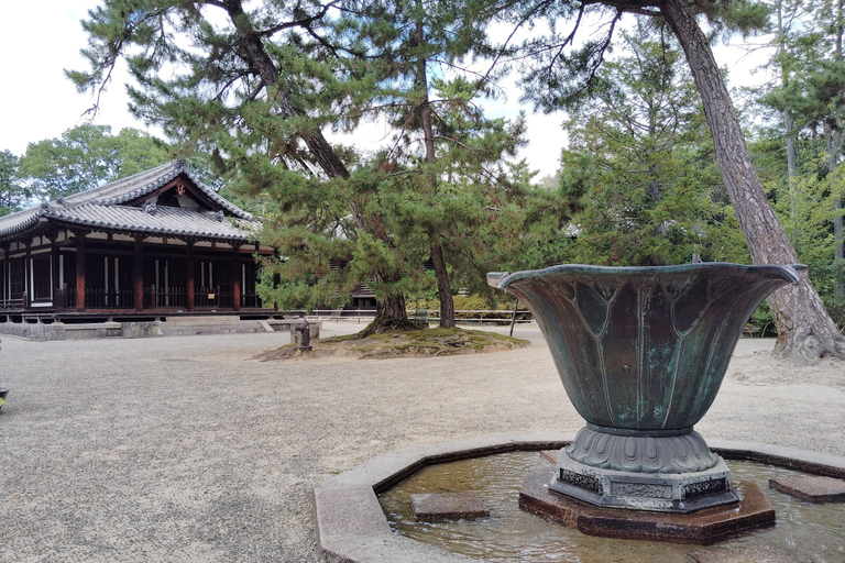 Nara: Światowe dziedzictwo Yakushi-ji i Toshodai-ji w 3 godziny