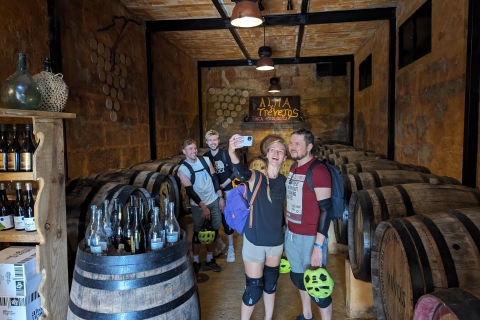 Tenerife: Excursión panorámica en bicicleta con cata de vinos y quesosLos Cristianos: Ruta en Bicicleta con Degustación de Vino y Queso