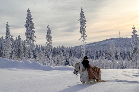 Rovaniemi: Horseback Ride & Lappish Lunch at Ranch