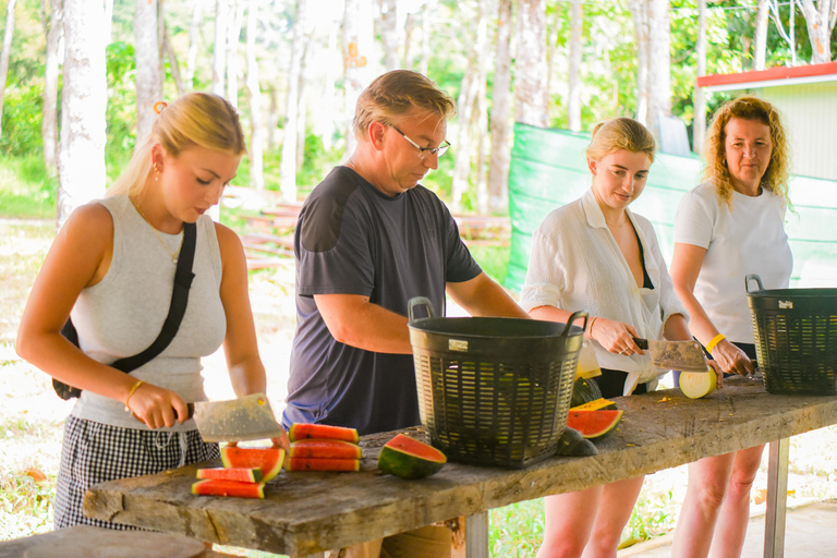 Phuket: Half‑Day Elephant Care Experience Including Lunch