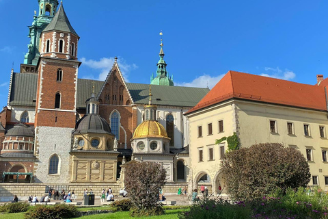 Krakow: Wawel Castle & Cathedral Guided Tour with Tickets Krakow: Private Tour - Wawel Castle & Cathedral Church