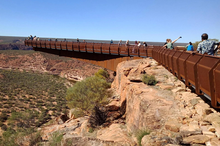 From Geraldton: Kalbarri & Pink Lake Day Tour with Lunch Solo Traveller