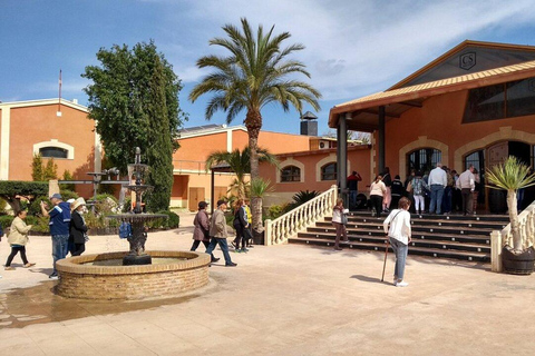 Alicante: Old Winery Tour & Wine Tasting including transfer Guided tour in English