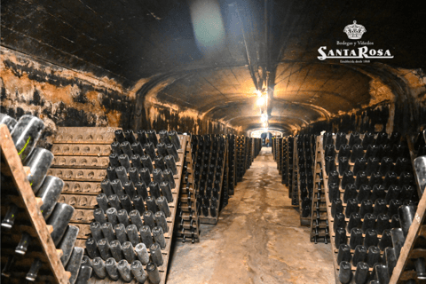 Santa Rosa Winery: Famiglia Passadore Tasting Tour with Lunch