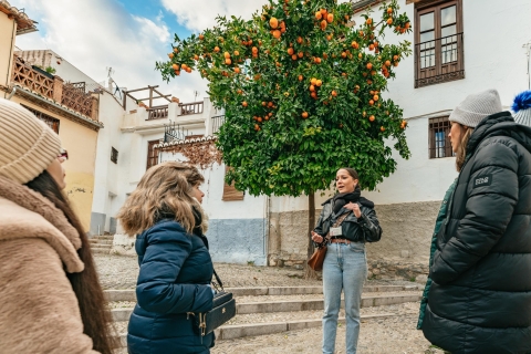 Granada: tour al atardecer del Albaicín y el SacromonteTour para grupos en inglés