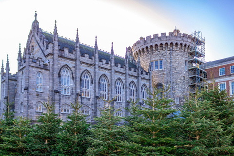 Dublin: Book of Kells, Dublin Castle and Christ Church Tour English Tour