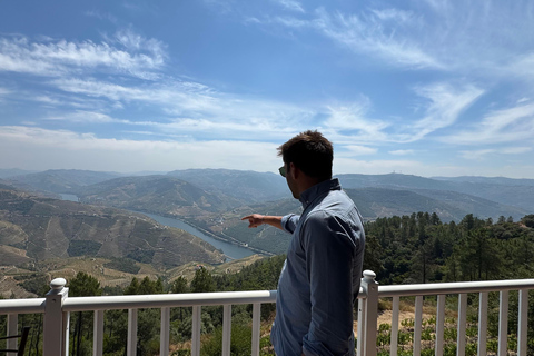 Porto: Douro Valley Train Tour, Cruise, Wine & Lunch
