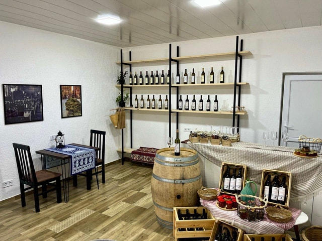 Kutaisi: Wine Tasting in Family Winery shop