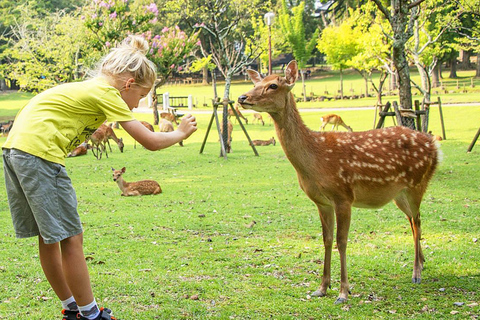 De Osaka: Nara, Uji Matcha Experience e excursão às fontes termais