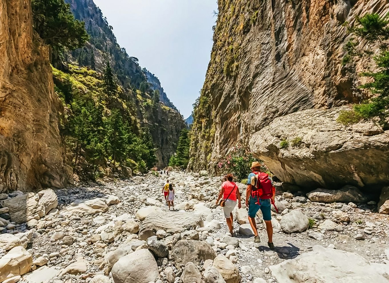 Fra Chania: Heldagsudflugt i Samaria-kløften med guide