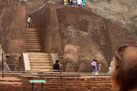 De Colombo: Excursão de 4 dias ao Sri Lanka com alojamento