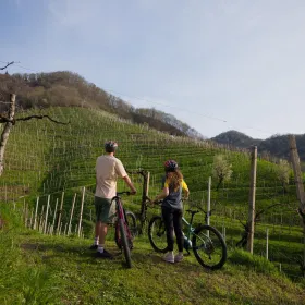 Valdobbiadene: E-Bike-Glück auf den Prosecco-Hügeln