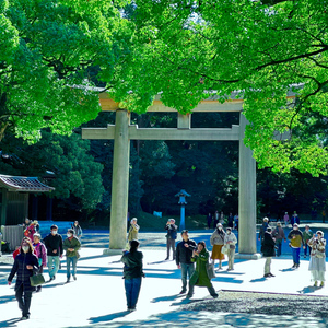 Tokyo: Meiji Jingu Shrine and Shinto Culture Walking Tour