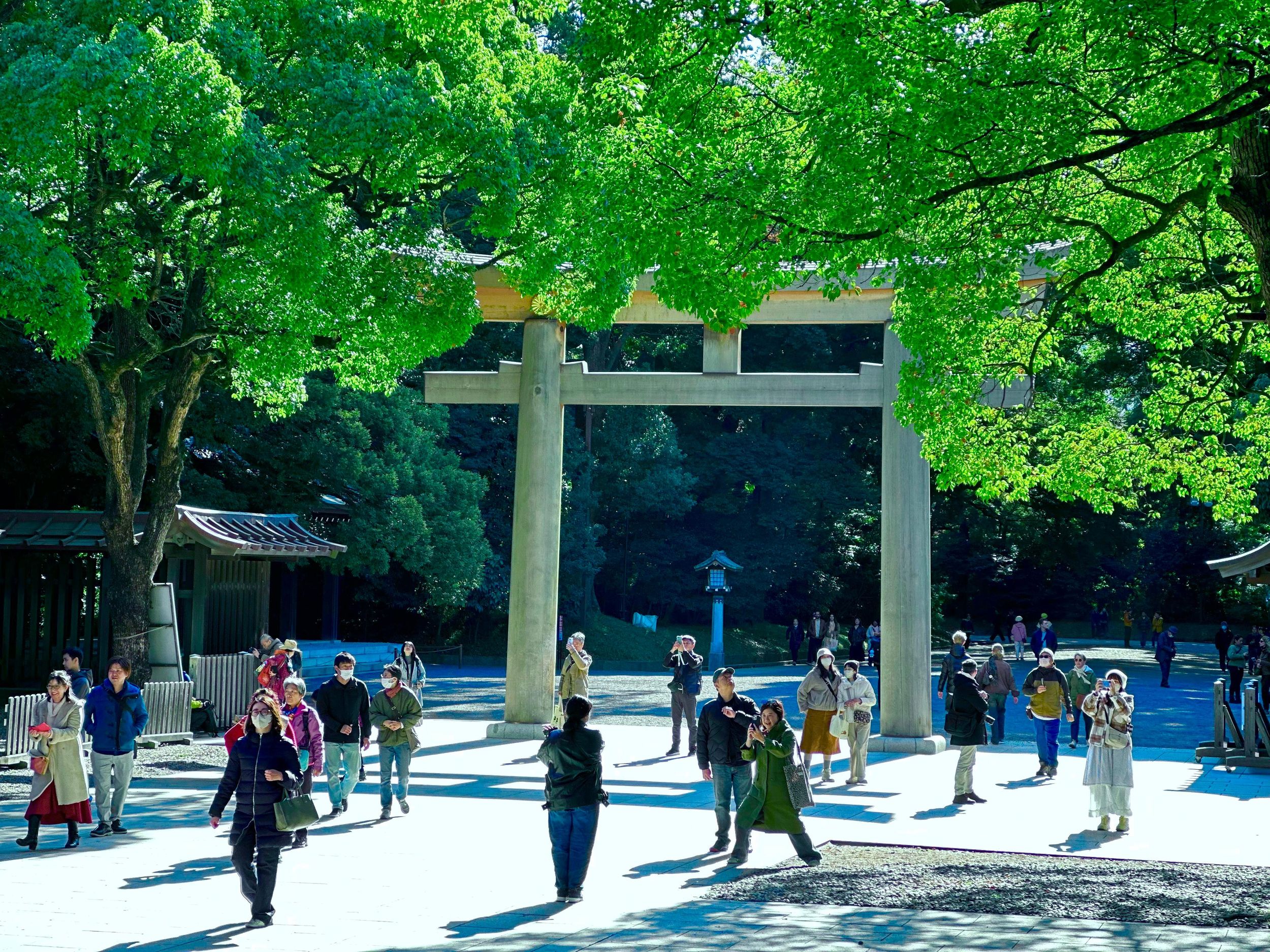 Tokio: Rundgang durch den Meiji Jingu-Schrein und die Shinto-Kultur