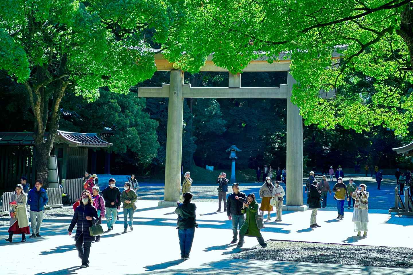 Tokyo: Meiji Jingu Shrine and Shinto Culture Walking Tour - Meiji Shrine Walking Tour