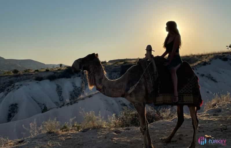 From Cappadocia: Sunrise or Sunset Camel Riding Day Trip | GetYourGuide