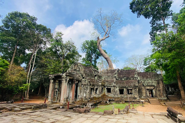Siem Reap: Angkor Wat Sunrise Tour with Hotel Pickup