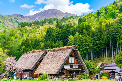 Nagoya:Shirakawa-go Gassho Village&Takayama Old Town Tour