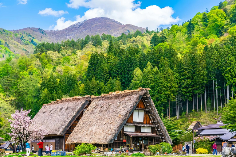 Nagoya:Shirakawa-go Gassho Village&Takayama Old Town Tour