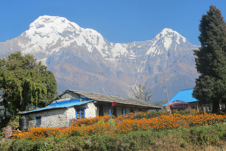 Nepal: 10-Day Private Buddhist Circuit Tour