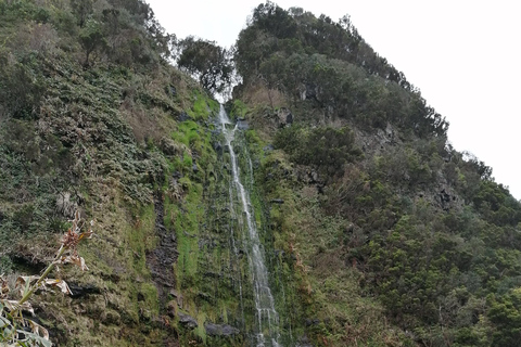 São Jorge: Fajã Camping en Wandeltocht