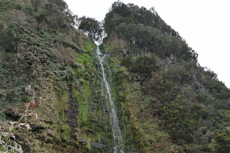 São Jorge: Fajã Camping und Wandertour