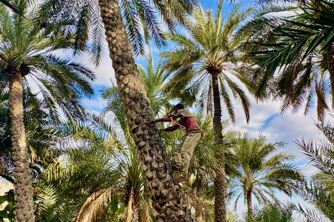 Nizwa, Al Hamra & Misfat Al Abriyeen: Guided tour in German.