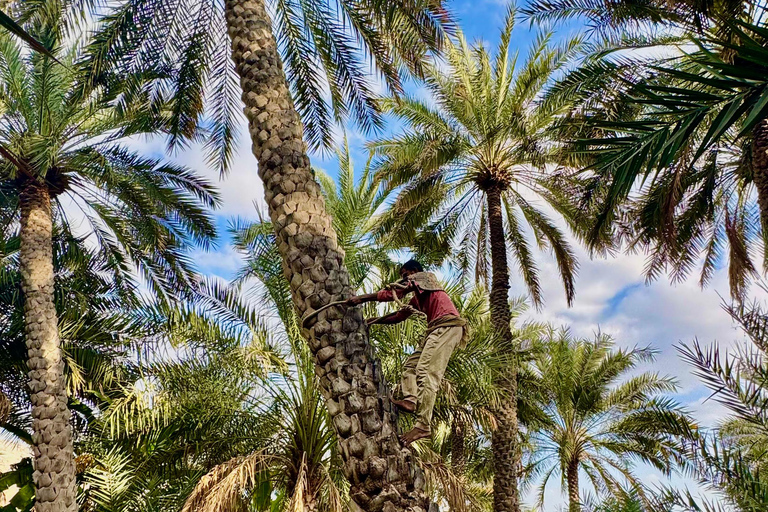 Nizwa, Al Hamra & Misfat Al Abriyeen: Guided tour in German.