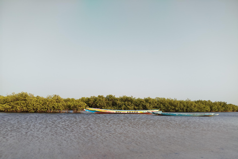 Saloum Delta: 3 days of adventure in the middle of nature, camping on a desert island Saloum Delta: Camping and Adventure
