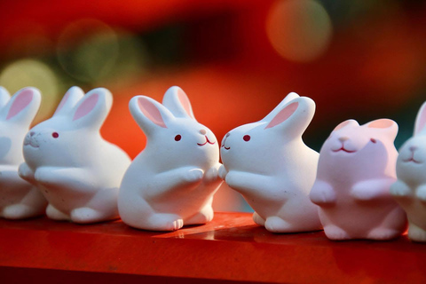 Kyoto: 1-dagars privat guidad resa med upphämtning från hotell