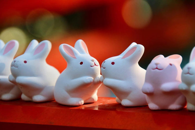 Kyoto: 1-dagars privat guidad resa med upphämtning från hotell