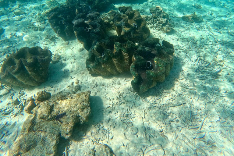 Vanuatu: Tanna Coffee Factory Tour and Pele Island Trip