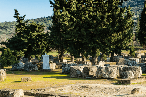 Visite privée de luxe : Sites antiques de Némée et dégustation de vin