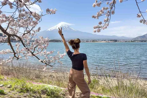 From Tokyo: Mt.Fuji & Gotemba Outlets Private Day Trip