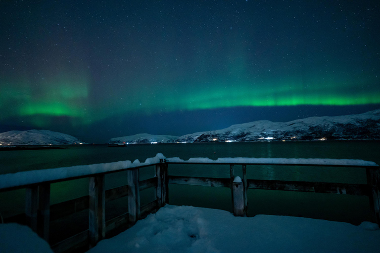 Tromsø: Northern Lights Tour with Hot Drinks and Snacks